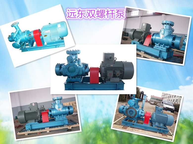 遠東雙螺杆(gan)泵展示