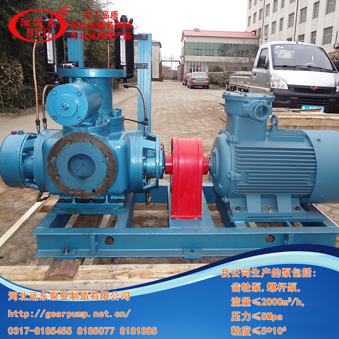 液化(hua)氣輸送泵,雙螺杆(gǎn)泵