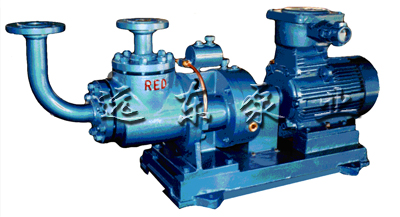 加氣站(zhan)專用雙(shuāng)螺杆LPG抽(chōu)吸泵-芜湖韦纳计算机设备集团(4G网站)