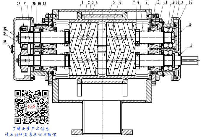 雙螺杆泵(bèng)結構圖