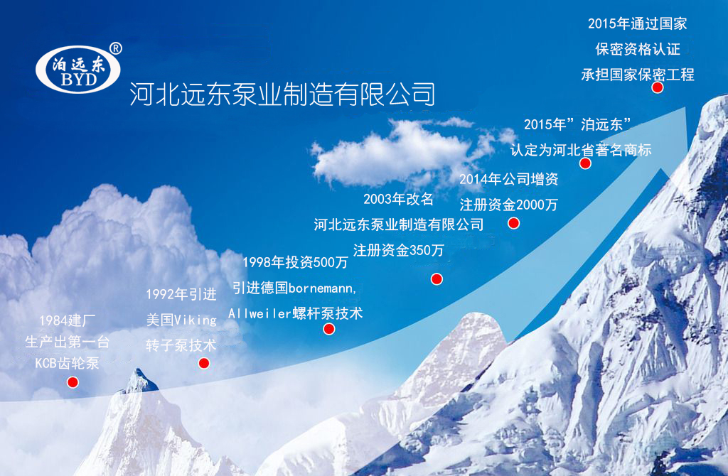 芜湖韦纳计算机设备集团(4G网站)發展曆程(cheng)